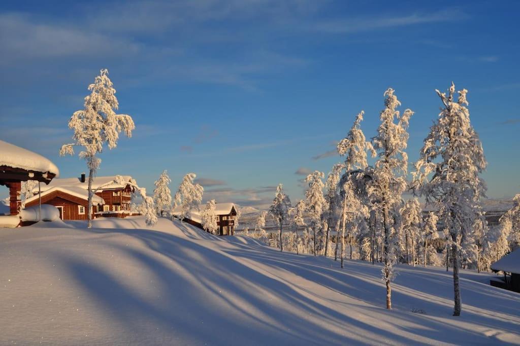 Flott Fritidsleilighet I Bualie Pa Golsfjellet 외부 사진