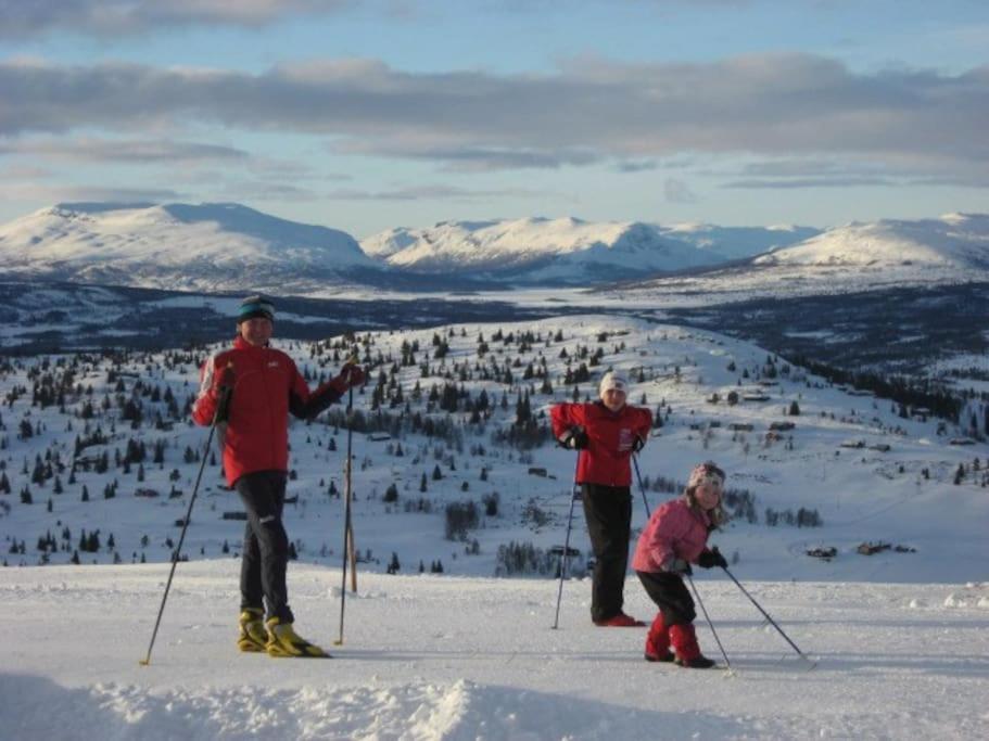 Flott Fritidsleilighet I Bualie Pa Golsfjellet 외부 사진